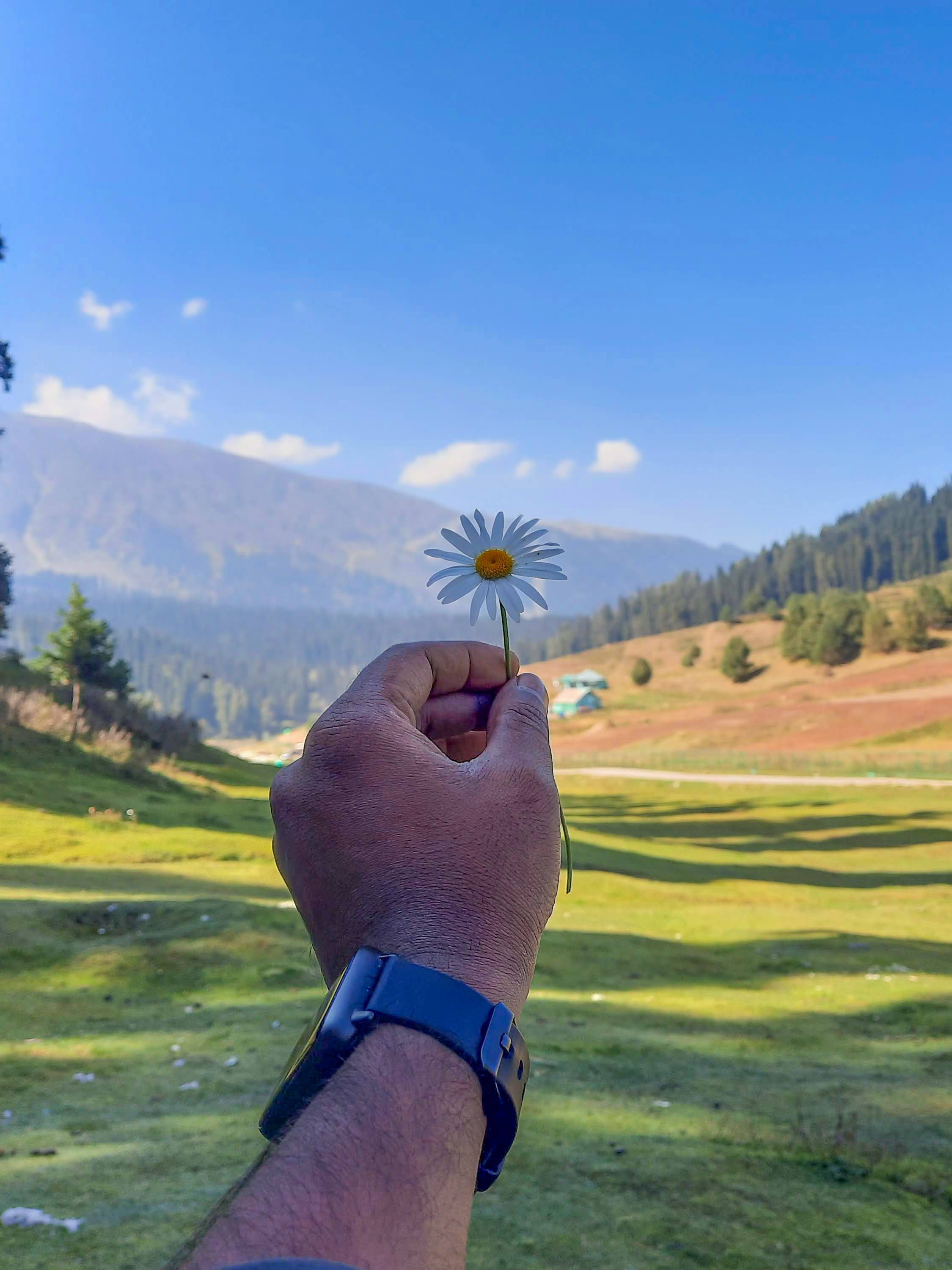 Self Love — Gulmarg Valley Kashmir